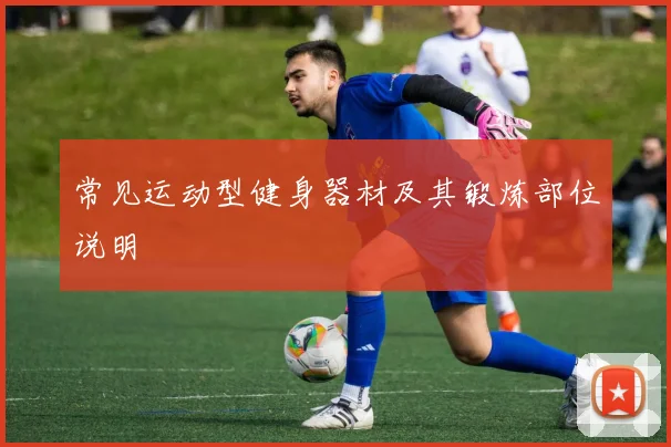 常见运动型健身器材及其锻炼部位说明